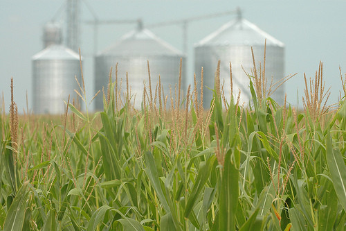 El proyecto europeo Assure desarrolla un perfil de formación en sostenibilidad ambiental