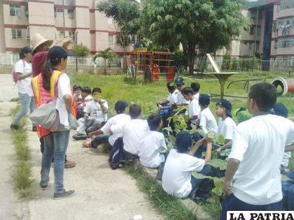 Reforestan más de 300 hectáreas con plantines exóticos y nativos en Chuquisaca