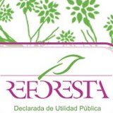 Reforesta plantó en La Pedriza en 2012 más de 2500 árboles con el apoyo de 620 voluntarios