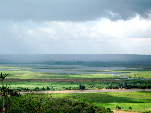 Retornan animales valiosos a reserva natural de Angola