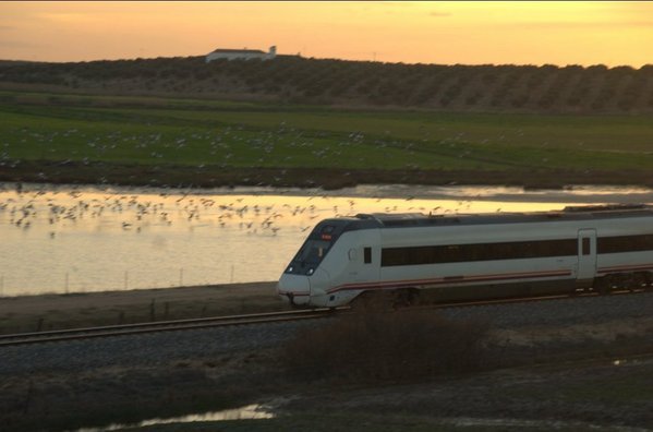 Europa en contra del trazado del AVE por Los Ojuelos