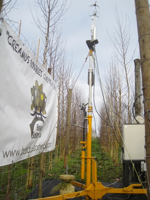 Bosques Sostenibles incorpora un sistema científico para medir la fijación del C02 atmosférico de sus árboles