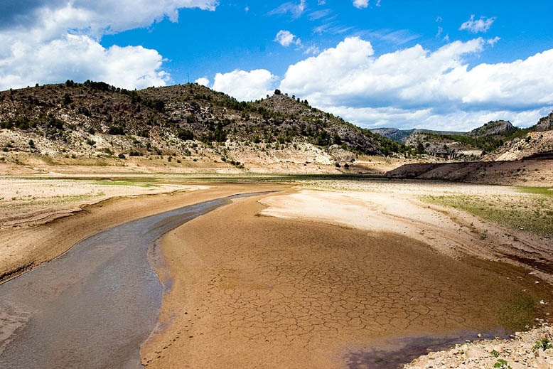 Cuesta 8% del PIB el daño ambiental
