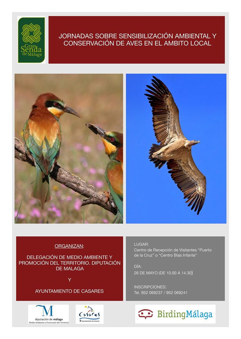 La sensibilización ambiental y la conservación de aves