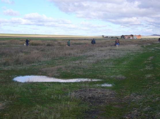 Palencia. Desecación de un humedal en Lomas de Campos