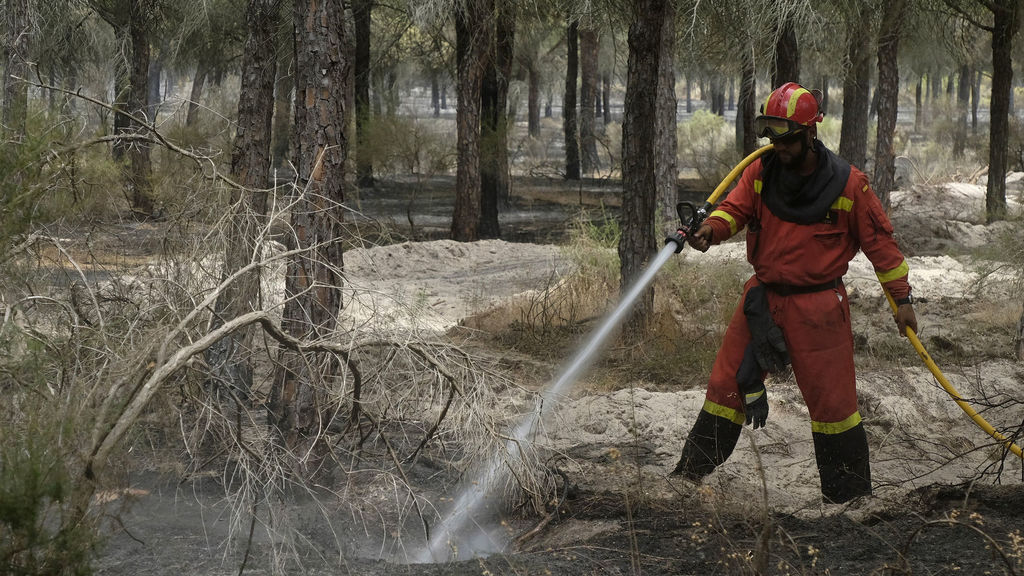 El juzgado amplía hasta los 18 meses la instrucción por el incendio de Moguer (Huelva) dada "su complejidad"