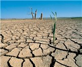 Dónde se ubicara el Centro de Tecnología sobre Clima