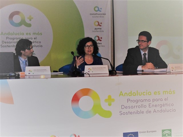 Unas 70 empresas de Jaén conocen los requisitos de ayudas al desarrollo energético sostenible