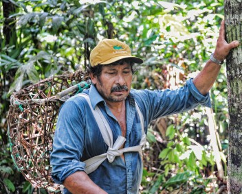Se necesita un nuevo enfoque para los bosques gestionados por las comunidades autóctonas