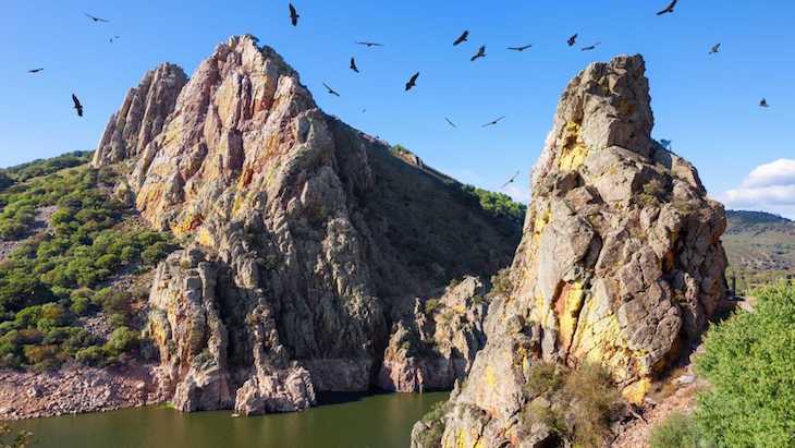 Patrimonio Nacional y Biodiversidad en España: más problemas que soluciones