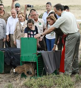 Cospedal agradece el trabajo para recuperar lince ibérico