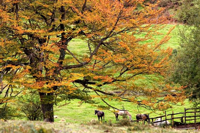 El Convenio Europeo del Paisaje es una realidad tangible