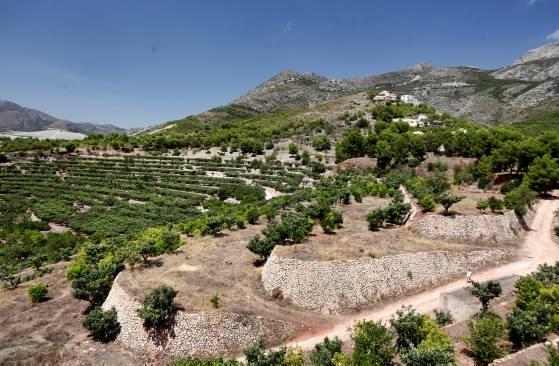 NO del Tribunal Superior a la macrourbanización en la Sierra de Bernia (País Valencià)