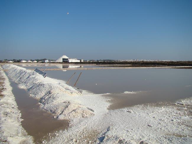 Ecologistas en Acción quieren gestionar la salina de San José (Cádiz)