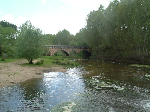Investigan la muerte de cientos de peces en el río Cega