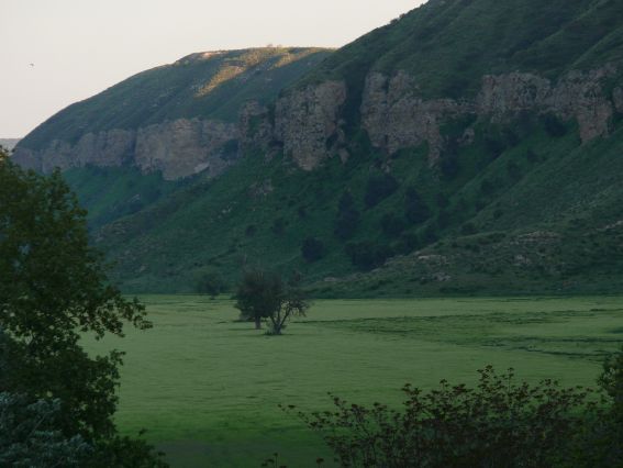 Carrefour colabora con SEO/BirdLife en la repoblación del Parque Regional de Sureste en Madrid