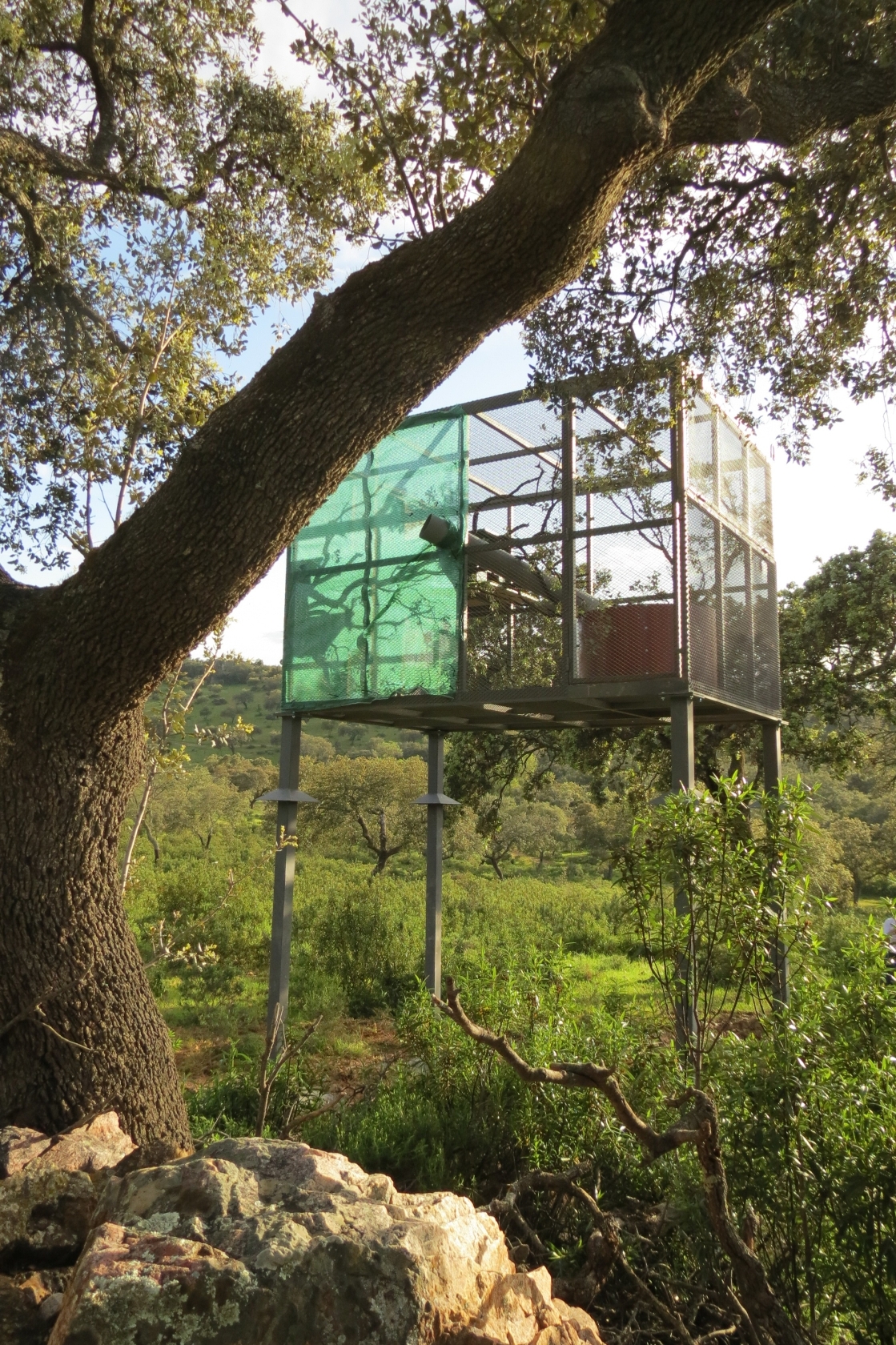 ‘Pastando Biodiversidad’: Haciendo conservación