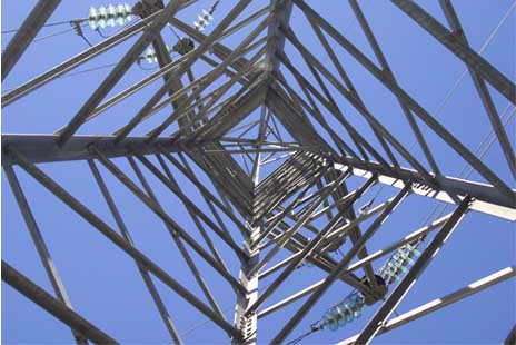 Endesa trabaja en su tendidos para evitar incendios forestales