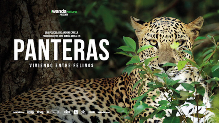 SUNCINE estrena en España “PANTERAS”