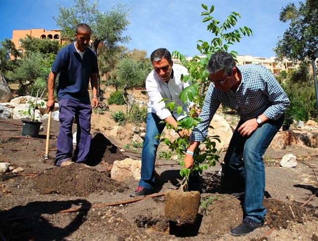 Plantar 100.000 árboles para compensar las emisiones de CO2 en Málaga (promesa electoral del PP)