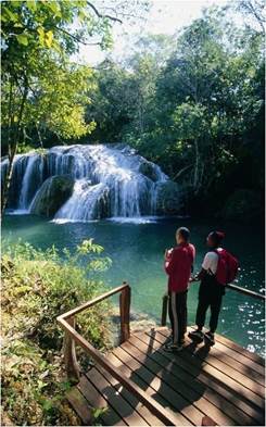 Aprovéchate de Internet