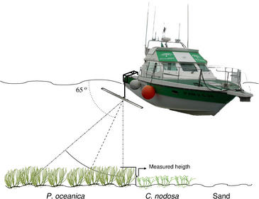 Cartografías de Posidonia ‘low cost’ con un sónar de barrido vertical
