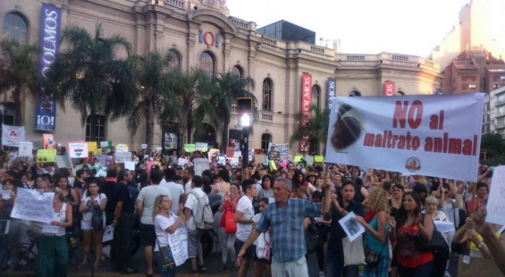 Argentina. NO al maltrato animal