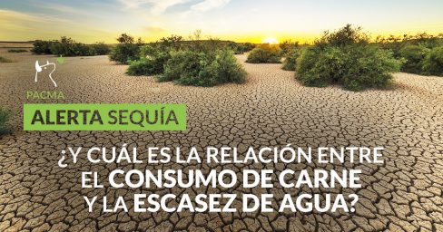 El riesgo de sequía amenaza a España