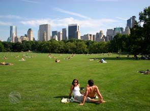 Direct air capture of carbon dioxide found too costly for practical use