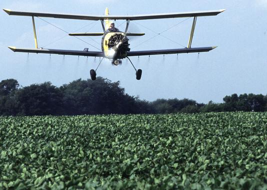 Pesticidas agrícolas y autismo en niños