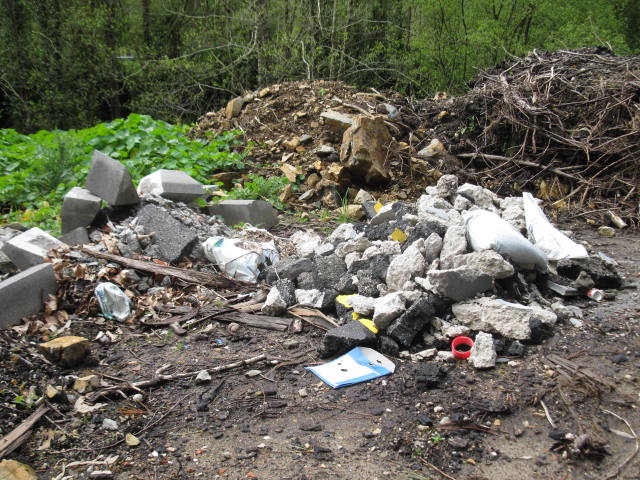 17 de Mayo DIA MUNDIAL DEL RECICLAJE