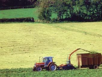 Un ‘halo de luz’ para la reforma de la PAC