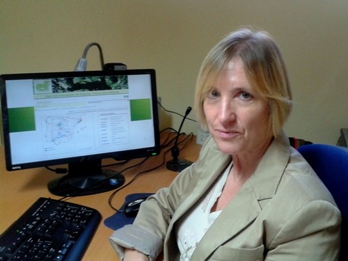 UCAV crea una web para consultar especies forestales españolas