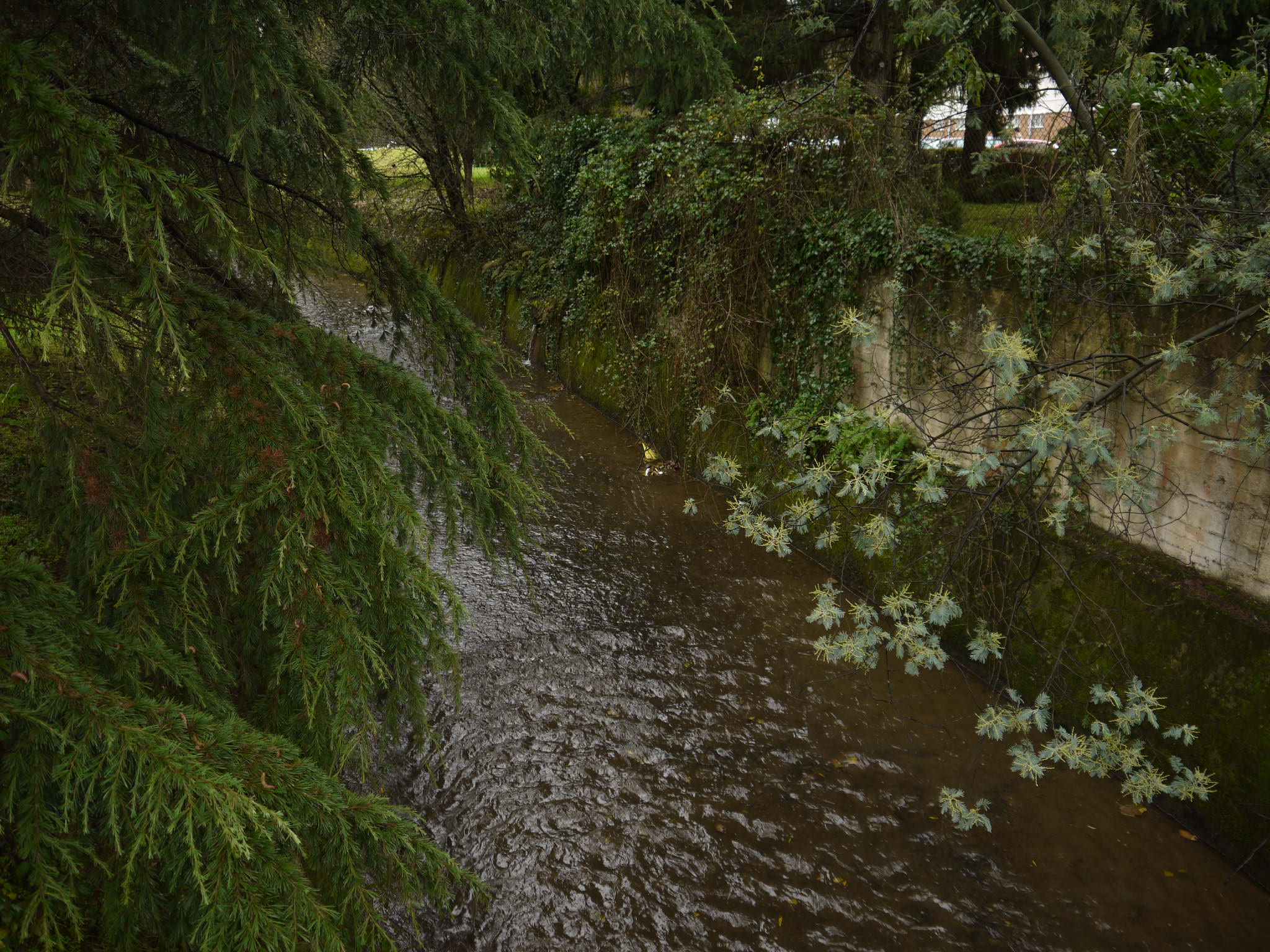 Coordinadora Ecoloxista d’Asturies denuncia la elevada contaminación del rio Nora