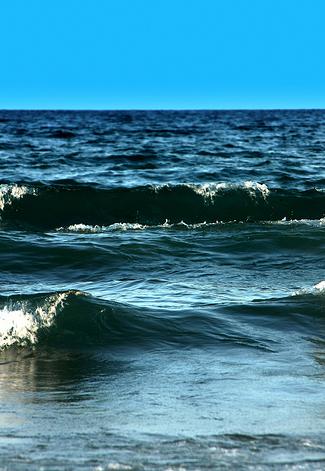 Ecologistas en Acción reclama medidas urgentes para proteger el Mediterráneo de los efectos de la tropicalización