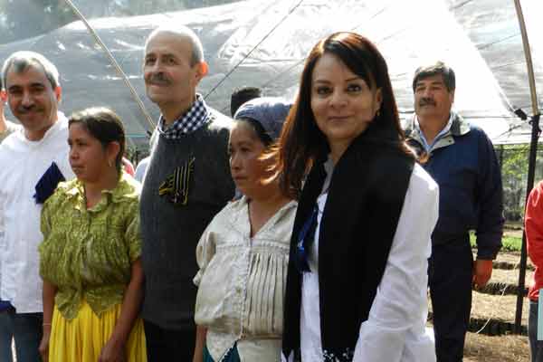 Promueve CDI Proyectos de Reforestación en Michoacán