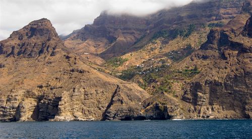 Los gatos asilvestrados amenazan a los vertebrados en las islas