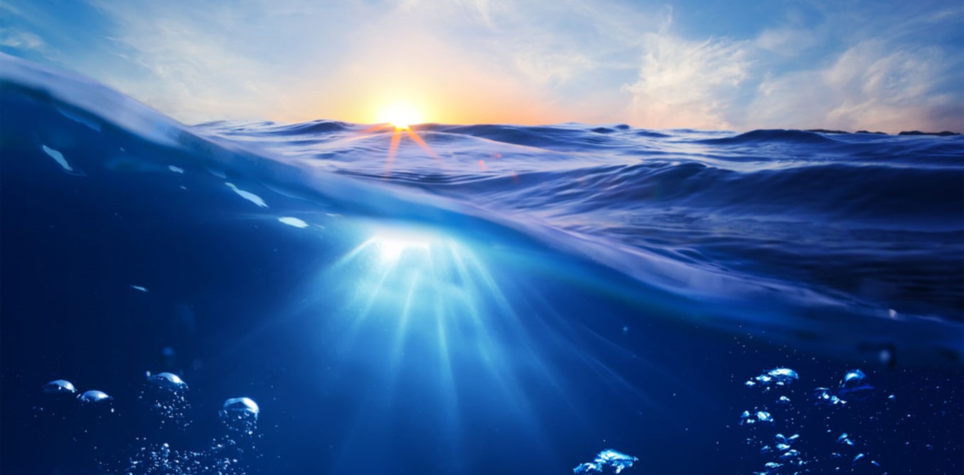 Microbios que se ‘transforman’ también afectan a los océanos