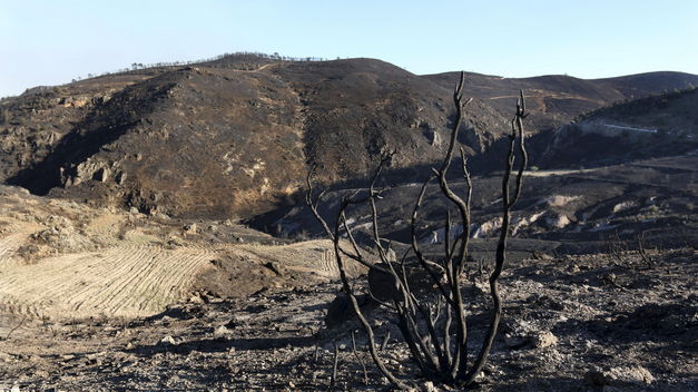 Exigen la repoblación de la Sierra de Gádor tras cuatro meses de su incendio