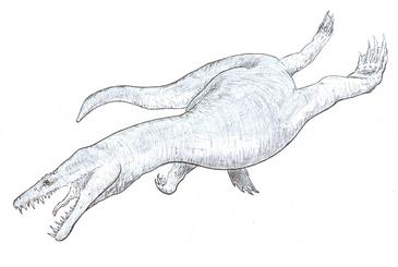 Hallan huesos de nothosaurios en la provincia jiennense de hace más de 230 millones de años