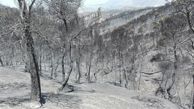 Extinguido el incendio forestal de Quesada con más de 10.000 hectáreas quemadas