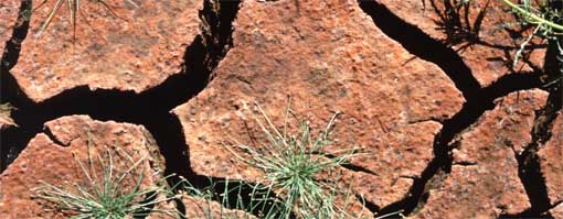 Europa aportará más de 3.000 millones al programa LIFE contra el cambio climático