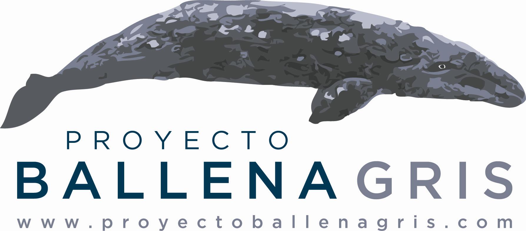Arranca "Proyecto Ballena Gris"