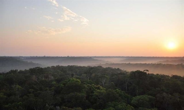 Líderes religiosos se reúnen la próxima semana en Noruega para movilizar al mundo contra la deforestación de los bosques