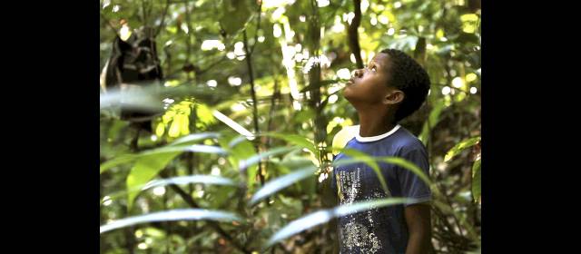 Comunidad salva sus bosques