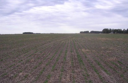 Mapas de alta resolución de la evolución de las condiciones de humedad del suelo