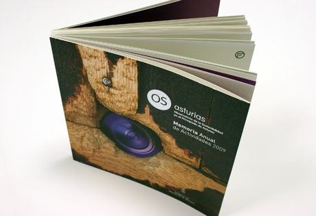 Denuncian al Gobierno Asturiano ante la UE