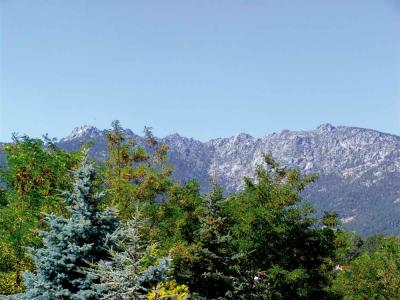 La trashumancia y el desarrollo del medio rural