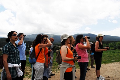 La excursión didáctica “Aves de Valsaín” permitirá identificar de forma sonora y visual las diferentes especies en los Montes de Valsaín