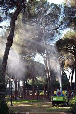 Fumigación en la comarca de Doñana contra la procesionaria